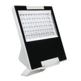 FORCA LED 155W 19100lm 3000K IP65 asymmetric wide grey