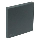 ROCKER F/SWITCHES W/LOCK SYMBOL GRAY