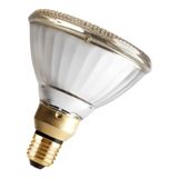 PAR38 E27 24V 120W Spot