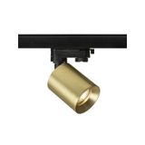 DARIO for 3-circuit tracks brushed brass 230V LED GU10 9W