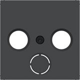 Central plate antenna socket 2/3-hole, extension, A.x/C.x, matte black