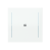 LFS/A.1.70.1-44G Cover plate with legend with Symbol "scene" studio white - Trevion®