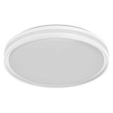 ORBIS NOEMI 480MM 36W 830CLICKD WT OSRAM