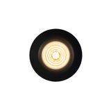 Stake | Downlight | Black