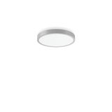 TRIONA round, 48 W, 4650 lm, 830, silver, smart+free Ceiling and wall 