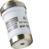 D0 fuse link M30x2 D03 100A gI to gG rated voltage 400 V , 250 V