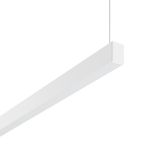 Less is more 27, 34 W, 2700 lm, 840, white, DALI Pendant luminaires, L