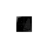 Glass touch switch, F&Home RADIO system transmitter, black, 24 V; rH-S4L4-B-24