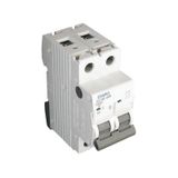 MCB - 2P - 10KA - C - 40A