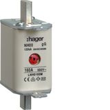 NH fuse NH00 gG 500V 160A central indi.