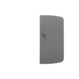 Rocker, 2gang right, with “Dimmer” icon