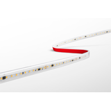STRIP LED ACCENTO 230V