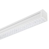 TRY S/EW 50(53W) 3000K+NOOD