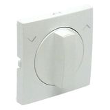 C.PLAT F/ROTARY PUSH-BUT/TWO-WAY SWITCH ICE