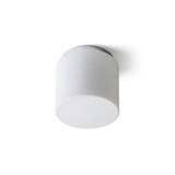 ARANA R 17 ceiling opal-colored glass/chrome 230V LED E27 11W IP44