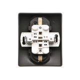Double 2-pole switch, 16AX, matt aluminum
