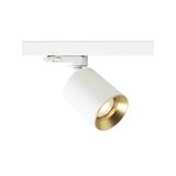 DARIO for 3-circuit tracks white brushed brass 230V LED GU10 9W