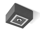 MIMIK 10 CEILING C/I2010W 3000K ANT