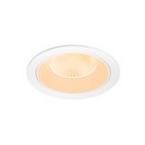 NUMINOS® XL DL 2700K 20° white/black
