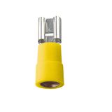 Receptacle terminal MSE_6,3-6SN/100