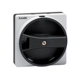 Door-coupling handle, padlockable. Black, rotating, for GA...A, GA063SA, GA...C and GA...D. Screw fixing. Recessed selector. 5mm/0.2”. IEC IP65/UL type 4X