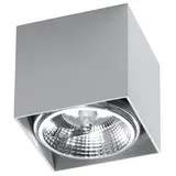 SPOT BLAKE GREY GU10 1X40W IP20