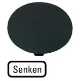 M22-XDP-S-D18 Button plate, mushroom black, DECREASE