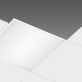 RODI 830 LED 25W CLD-D-D WHI 3000K