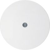 Central cable outlet, R.1/R.3/R.8, polar white
