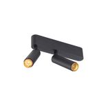 GRIP! S surface mount. ceiling dbl PHASE 3000K 21W 29ø bl/gl