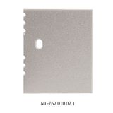 End cap with hole for NV, silver color, 1 pc