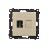 HDMI single socket, module, champagne matt, HDMI Standard: HDMI 1.4