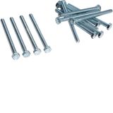 Screw M8x100mm ,accessory f. busbar-stabilisation"Cu 80x10" (50Pieces)
