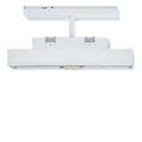 ECOSIGN 160 P TEC-GP ECD WH - Escape sign luminaire