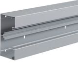 BRA 85170/1 Nat.anod Trunking base