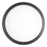 BLIZ ROUND 40 LED 39W 830 ANTHRACITE