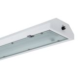 TrEx 1.4ft 6400/840 DIS 3F IP66
