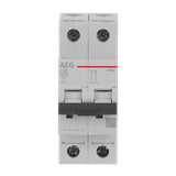 Circuit breaker 2P C Kar. 32A, 6kA
