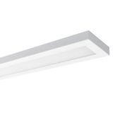 NAOS 1.4ft 3200/840 M1h with LED interior light 1x3200 lm 22W IP20