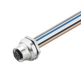 Built-in plugs, M12, Female socket, straight, Mounting thread: PG 9, Number of poles: 5, Strand / cable length: 2 m, Rear panel mounting