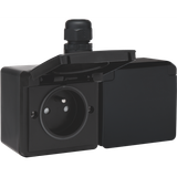 Splashproof double horizontal wall socket with pin earthing, shutters and plug-in terminals; includes surface-mounting box with one input on the upper side, black