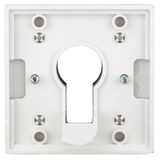 Cover for key switch, silver