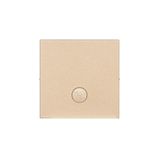 Single button for switches and push buttons, champagne matt