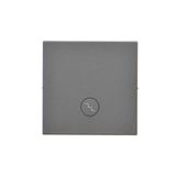 Single button for switches and push buttons, graphite mat