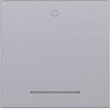 Rocker single with imprint "0", clear lens, A.x/C.x, titanium