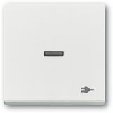 1789 ST-884 CoverPlates (partly incl. Insert) future®, Busch-axcent®, carat® studio white matt