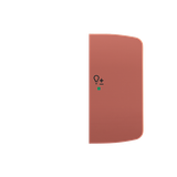 Rocker, 2gang right, with “Dimmer” icon