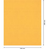 EXPERT C47 Sandpaper for Handsanding 23 x 28 mm, G 22