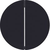 Rocker 2gang, R.1/R.3, black glossy