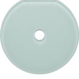 Glass cover end plate for rot. switch/spring-return push-button